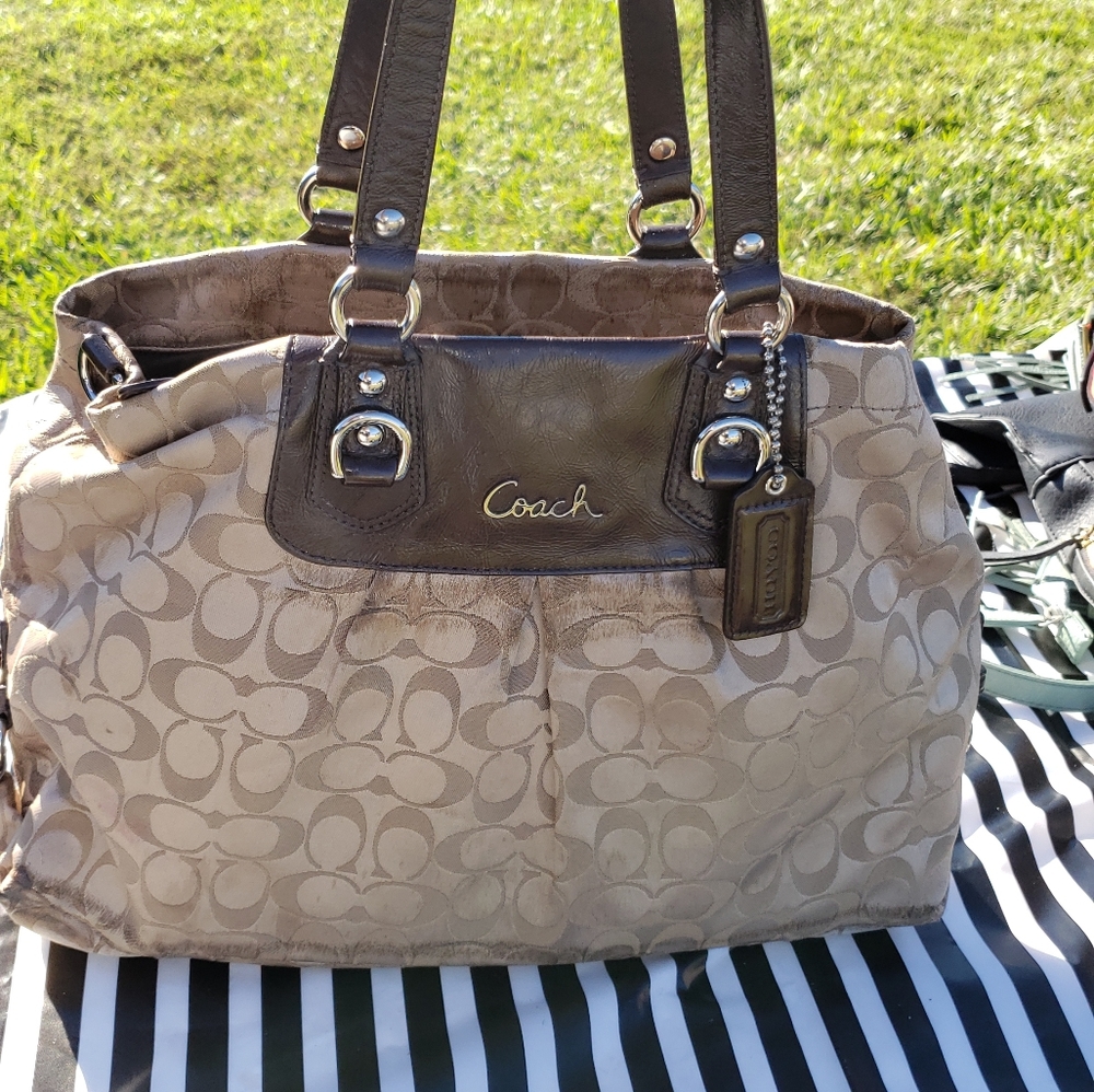 Coach Bag & Wristlet